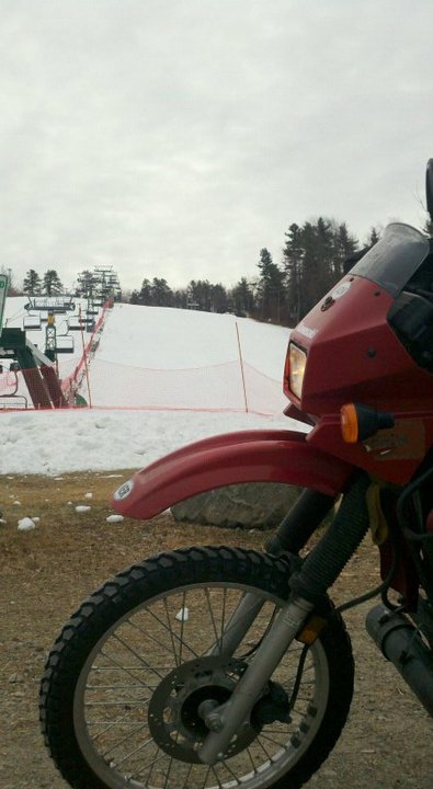 snow cat.bmp