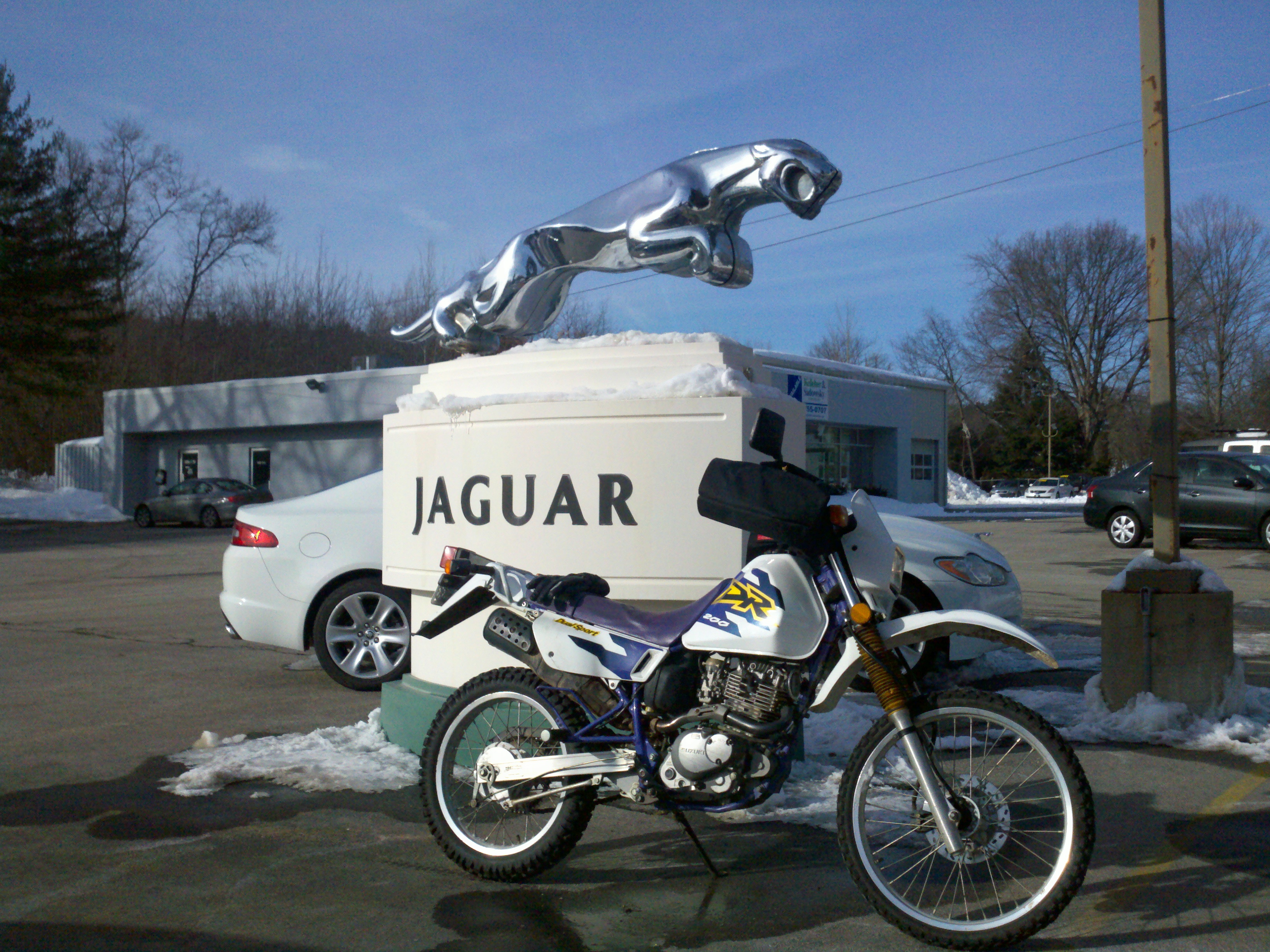 2011-01-31_14-28-10_214.jpg