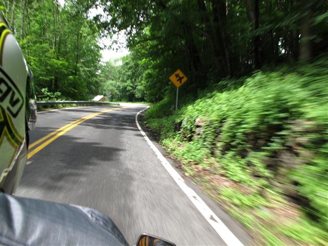 IMG_1105 (Small).JPG