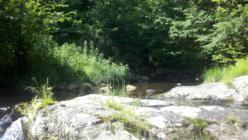 2011-07-16_10-40-01_93 (Small).jpg