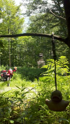 2011-07-16_11-52-50_453 (Small).jpg