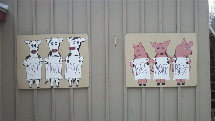 2012-02-14_11-25-02_905 (Small).jpg