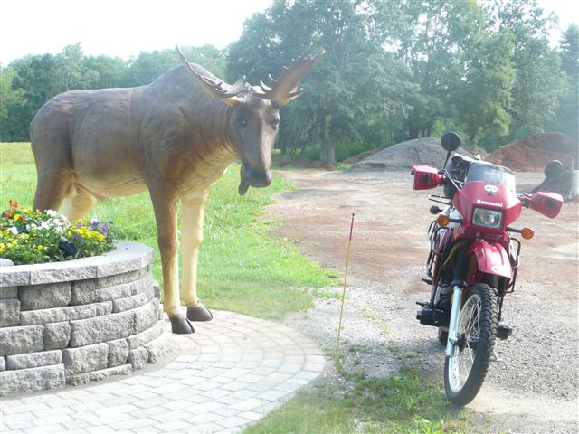 P1080792 (Small).JPG