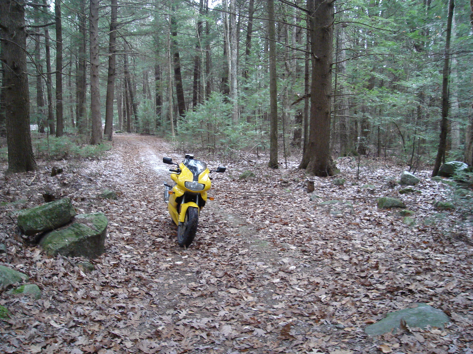 DSC02001.JPG