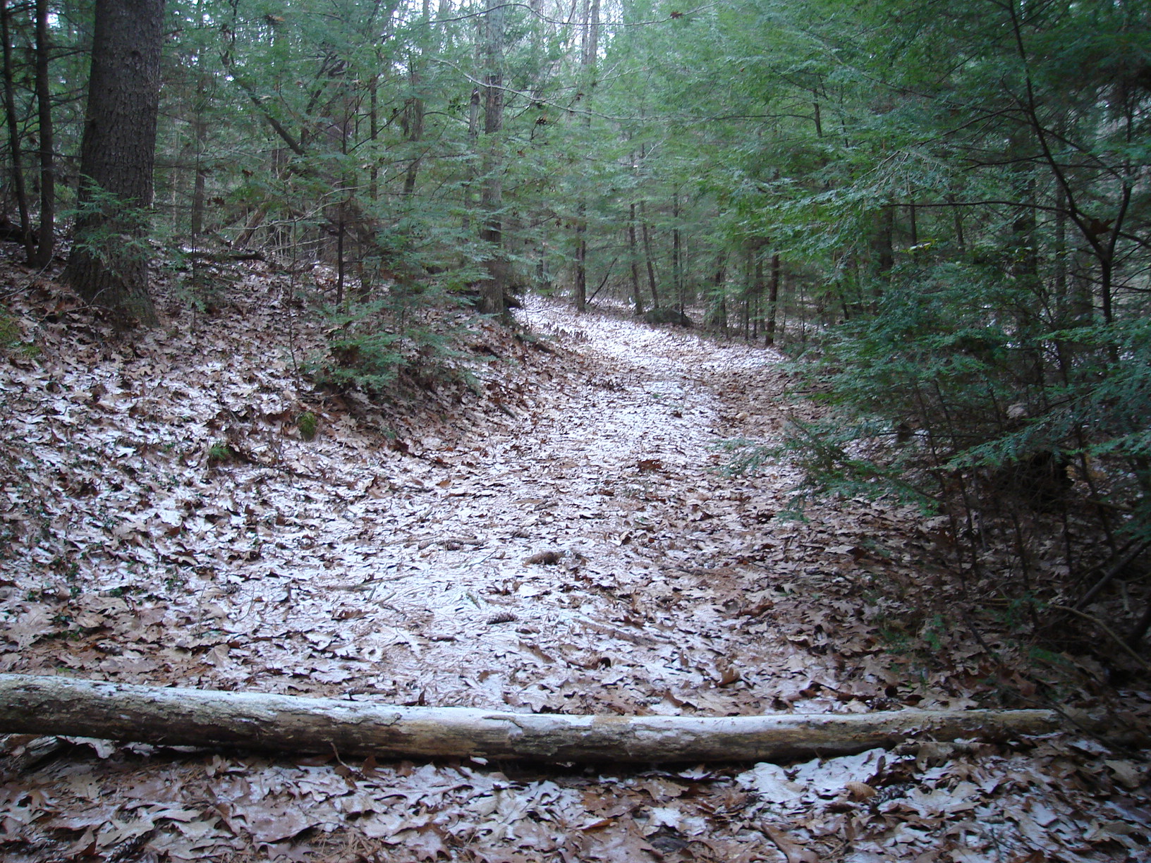 DSC02004.JPG