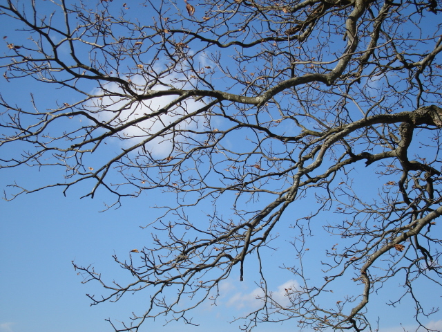 DSC02048.JPG