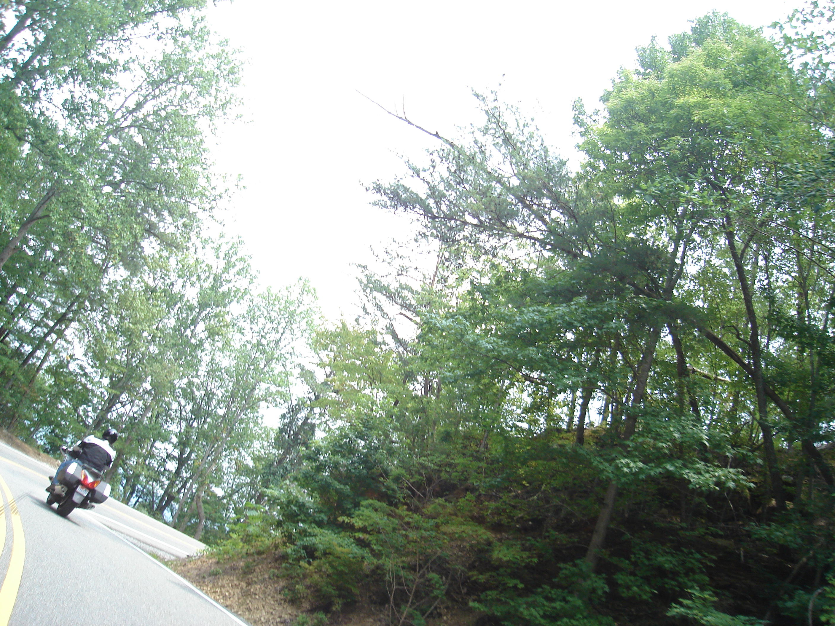 DSC04455.JPG