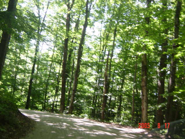 DSC00039.JPG