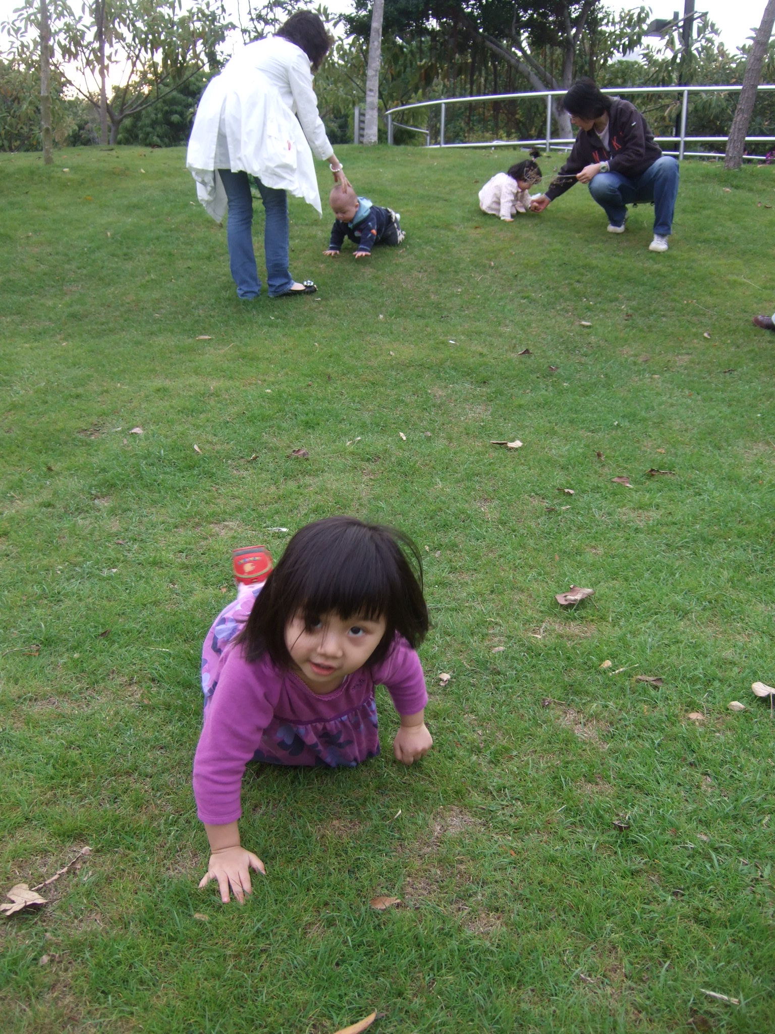 DSCF8487.JPG