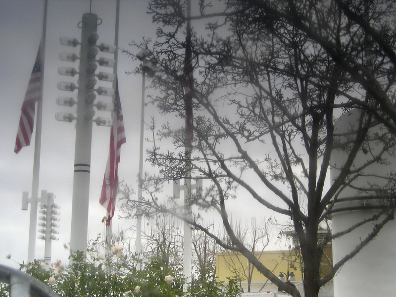 halfmast8