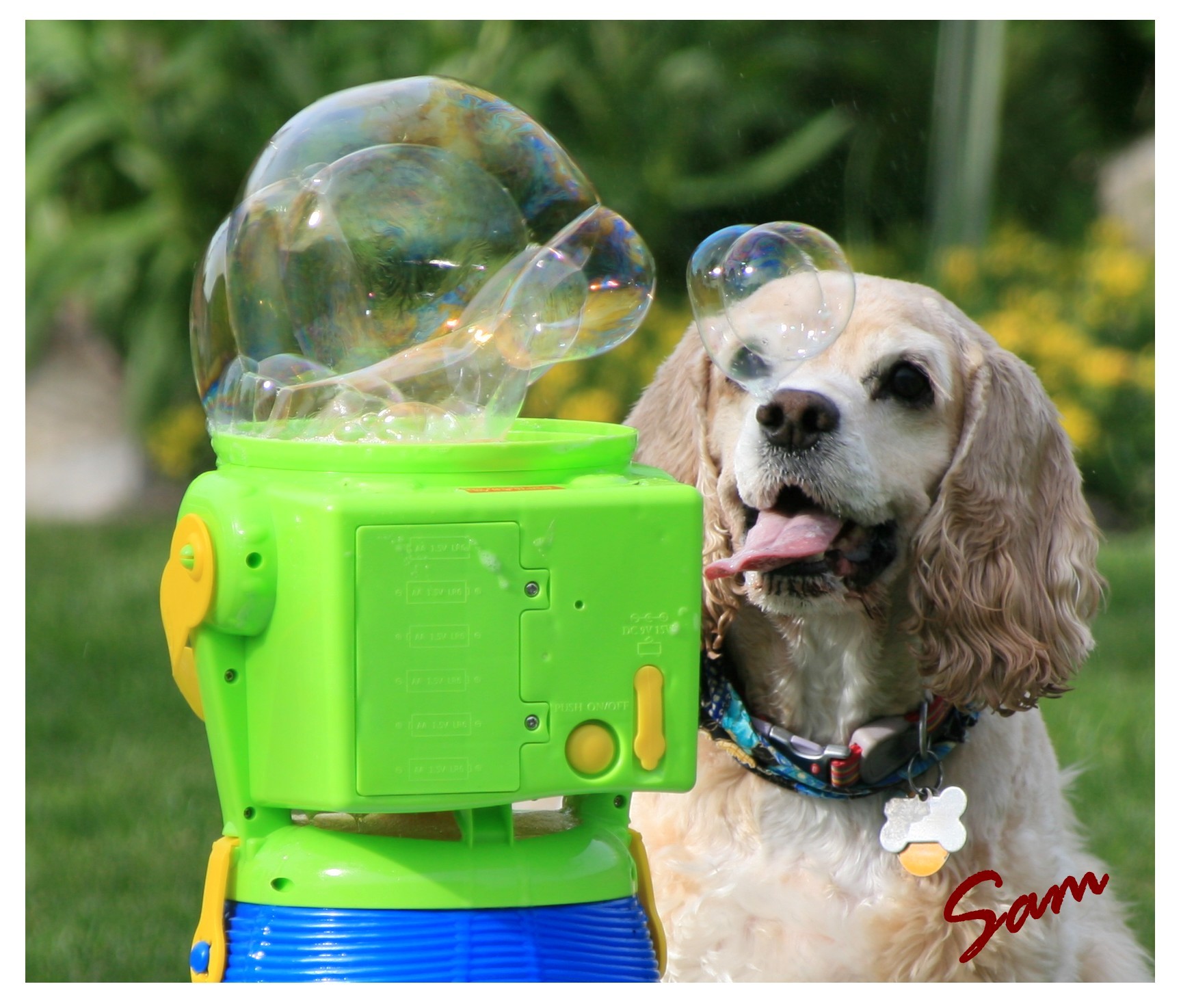 LOVE Bubbles!!