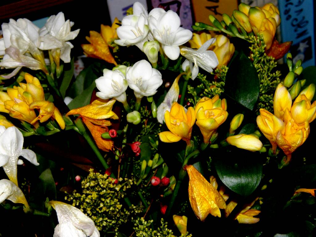  16.2.09 -0008.jpg