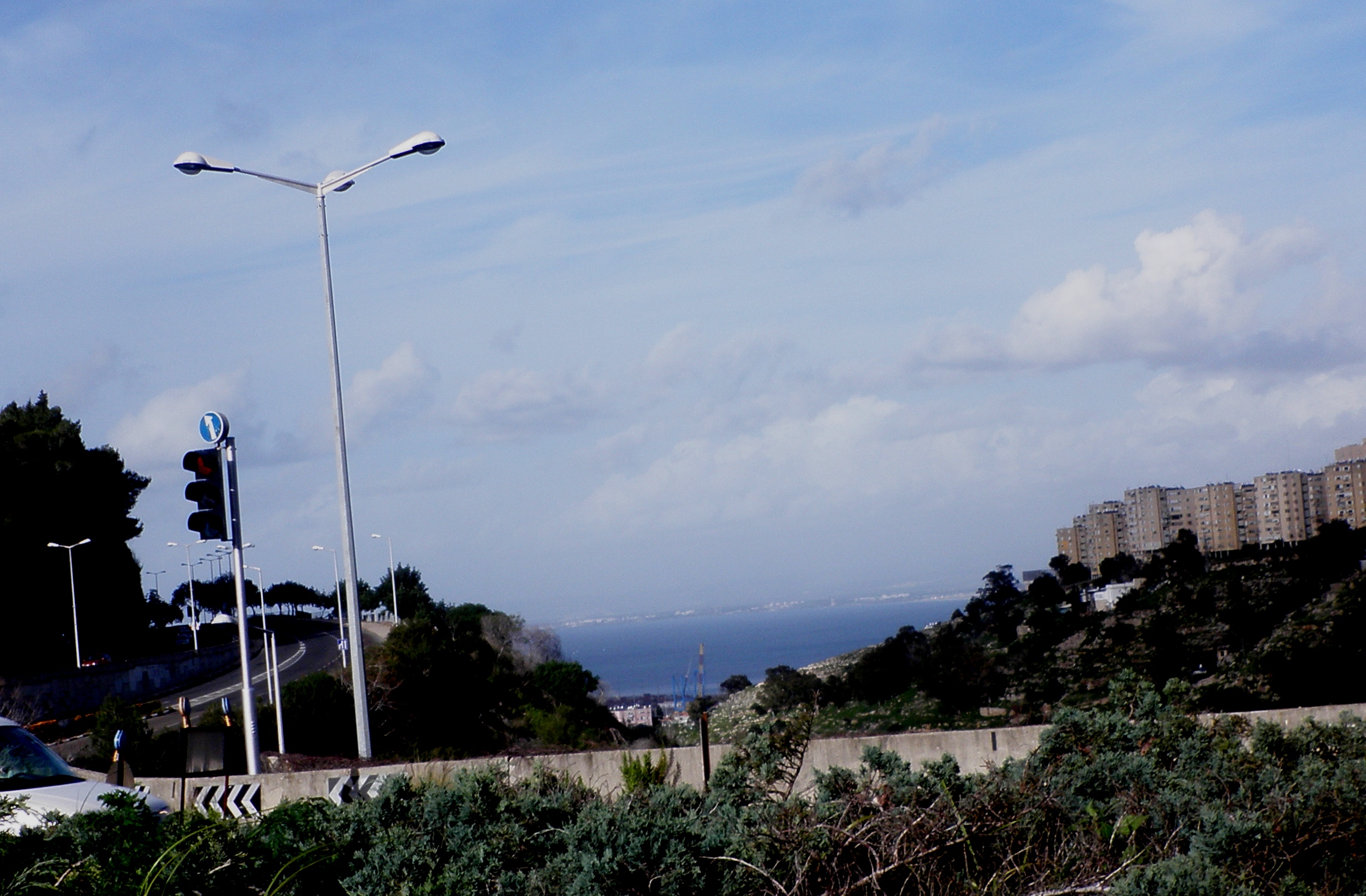 P2090022.JPG