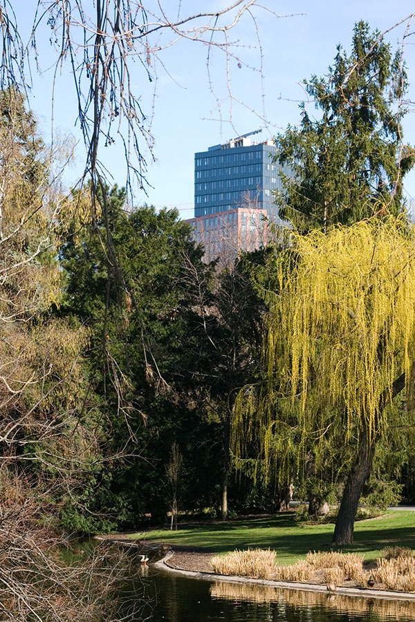 centralpark.jpg
