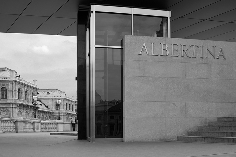 albert.jpg