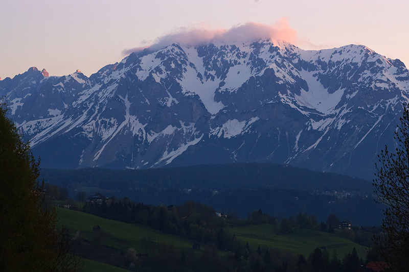 scheuchensp.jpg