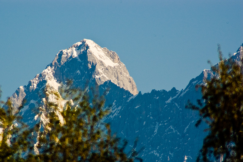 torstein.jpg