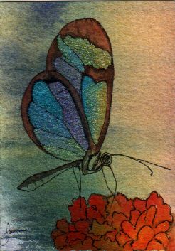 Iridescent Butterfly 2-09