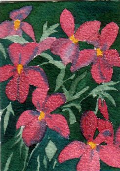 Flock of Flowers 2-09