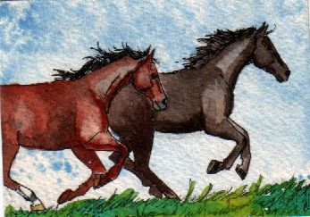 Rex and Sport 2-09