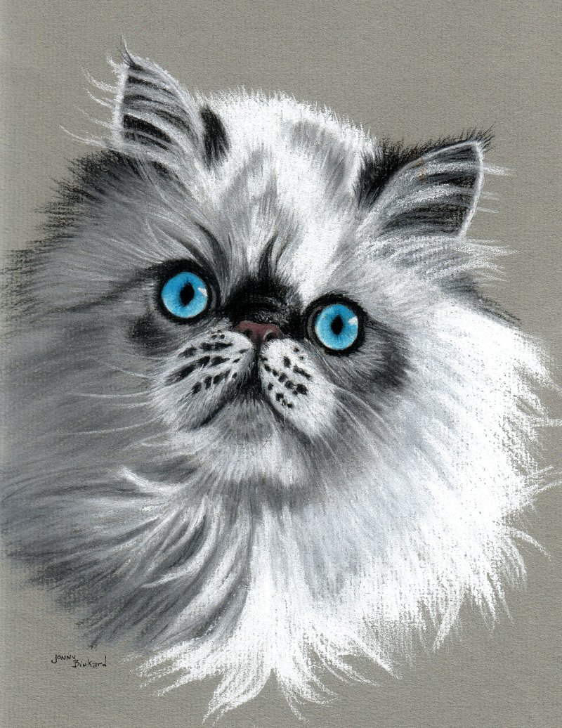 Bubbles - pastel, 9 x 12