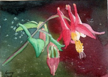 columbine II 3-08