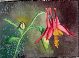 columbine III 3-08