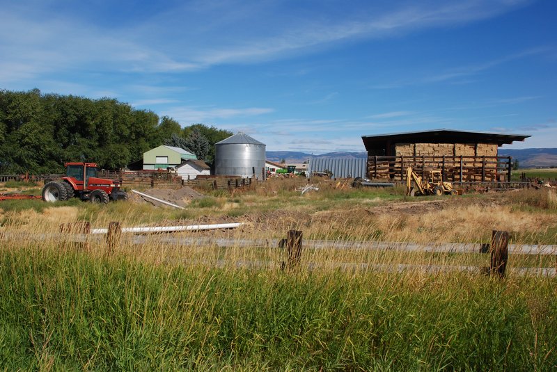 Near Kittitas