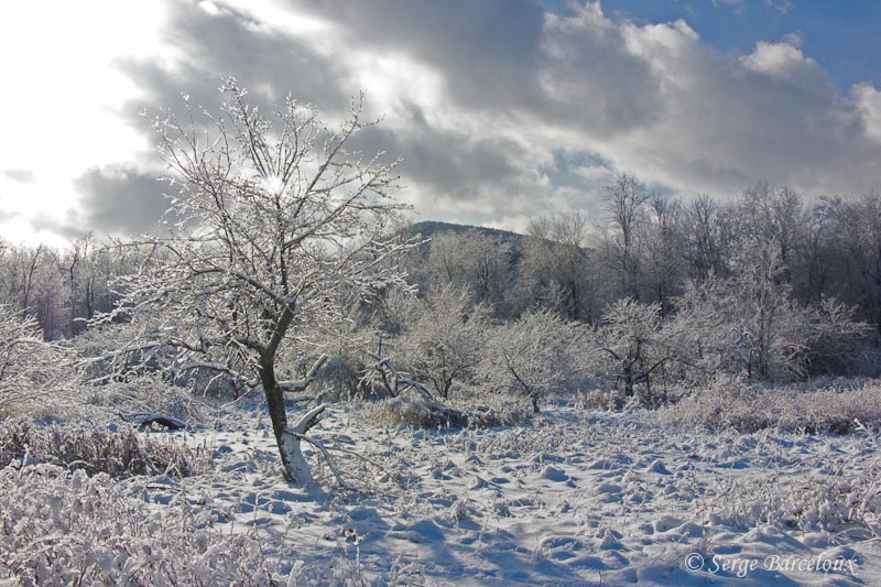 Ferie hivernale