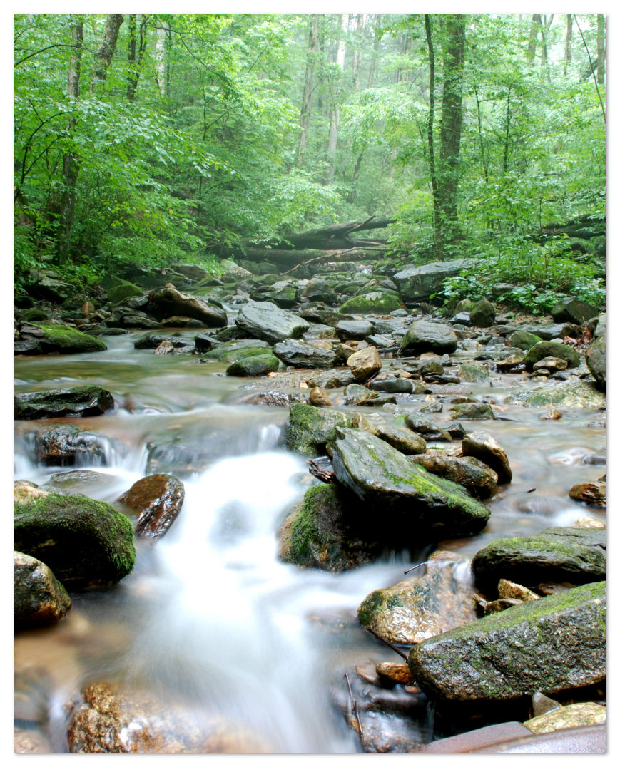 Appalachians
