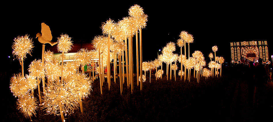 Epcot Christmas lights