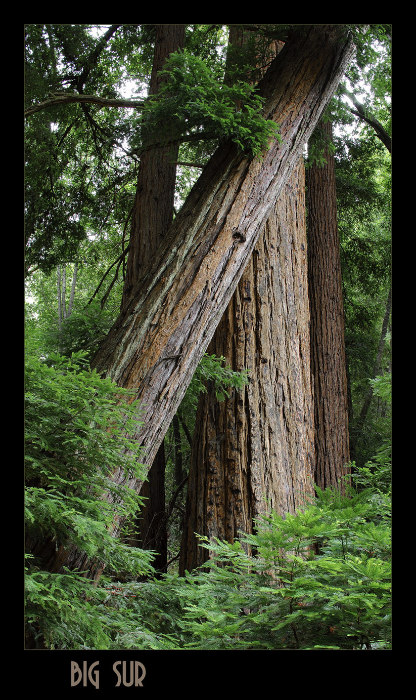 big sur, california