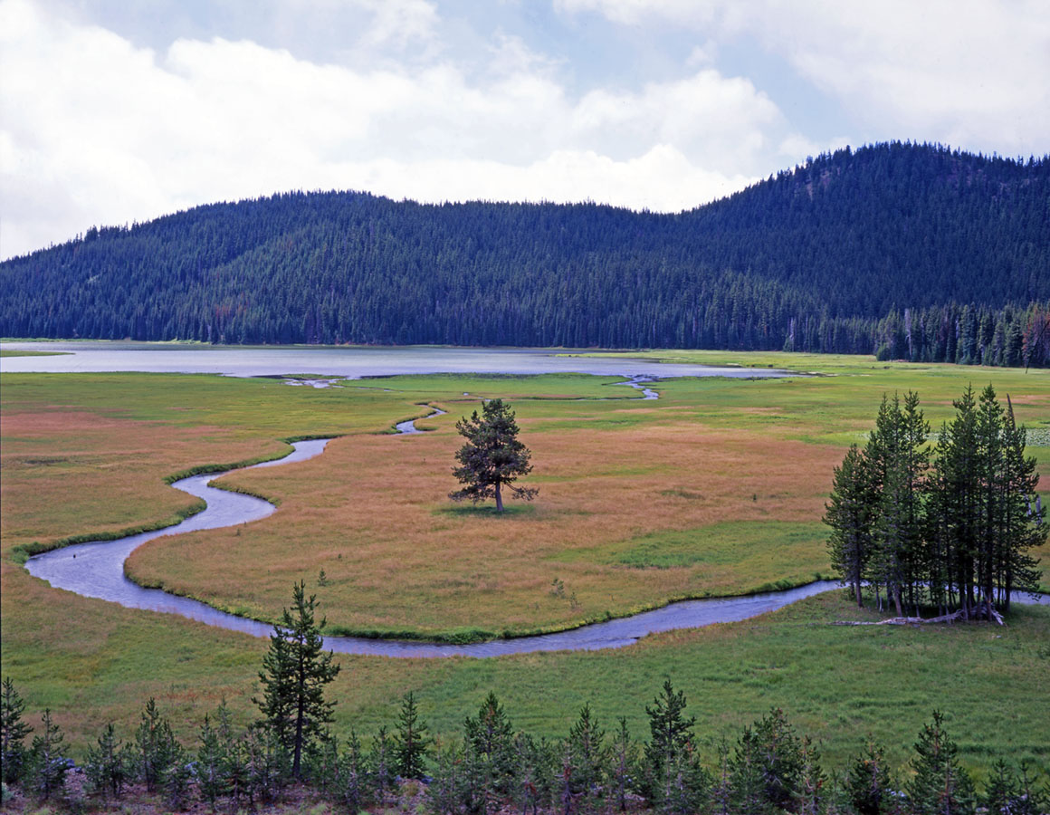 goose creek
