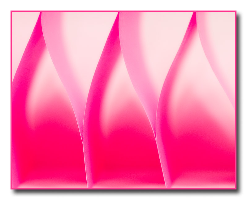 pink8036.jpg