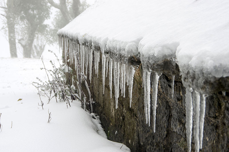 Chupones de hielo