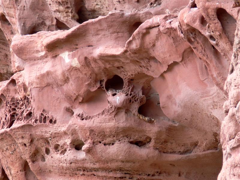 Detalle del terreno