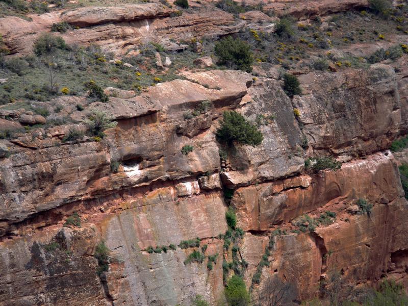 Detalle del terreno
