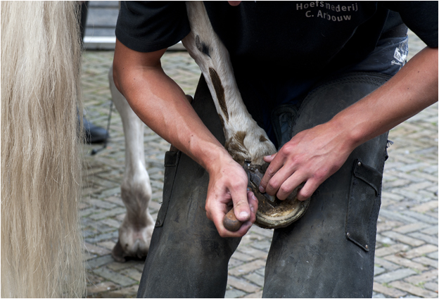 Paardenmarkt - hoefsmid