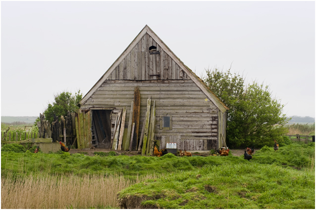 in de polder ...