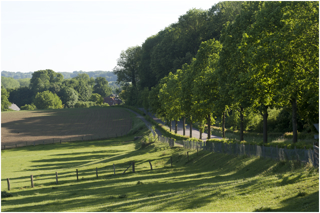 Slenakerweg bij Osebos