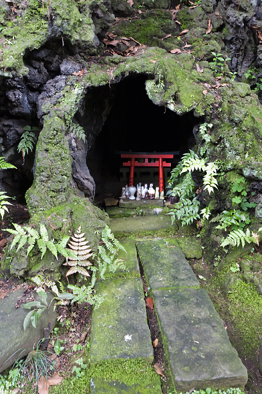 Akasaka Hikawa Shrine VIII