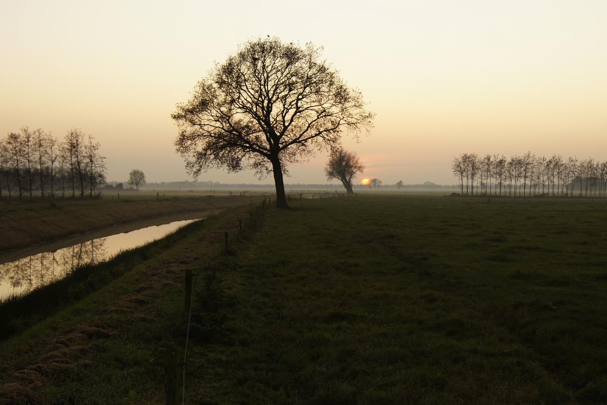 Sundown midwinter
