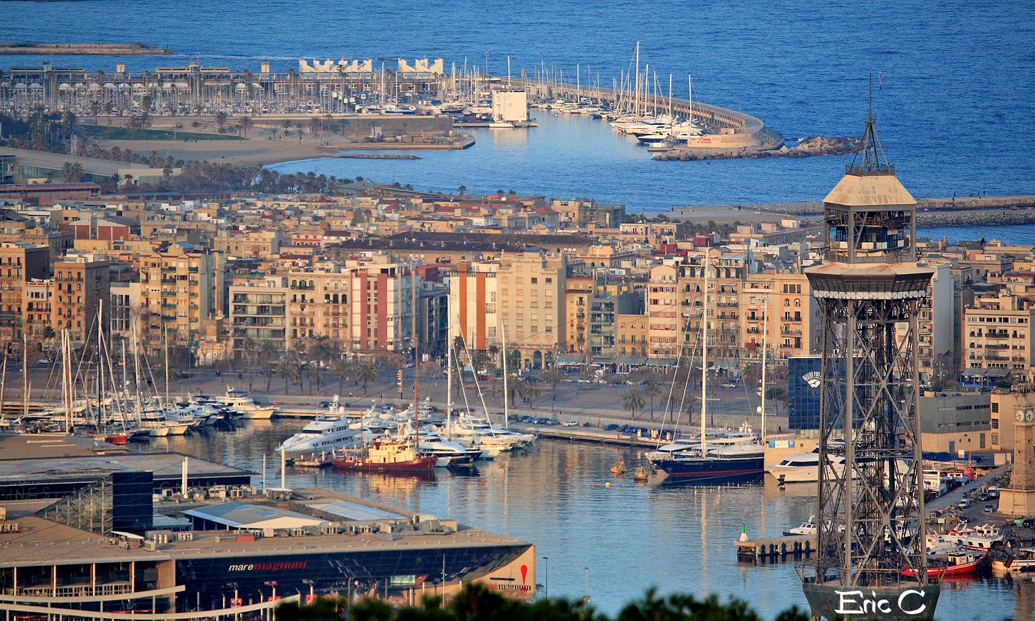 la Barceloneta