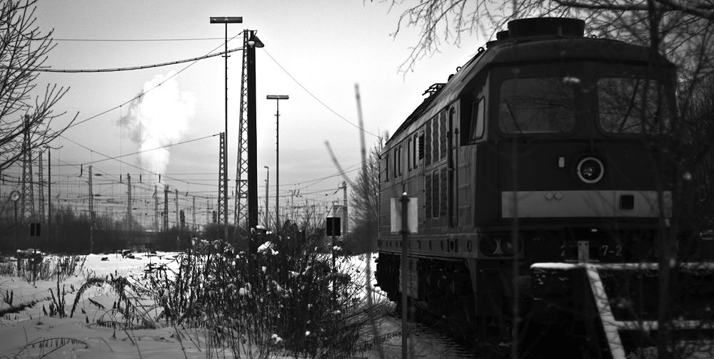 IMG5323.jpg