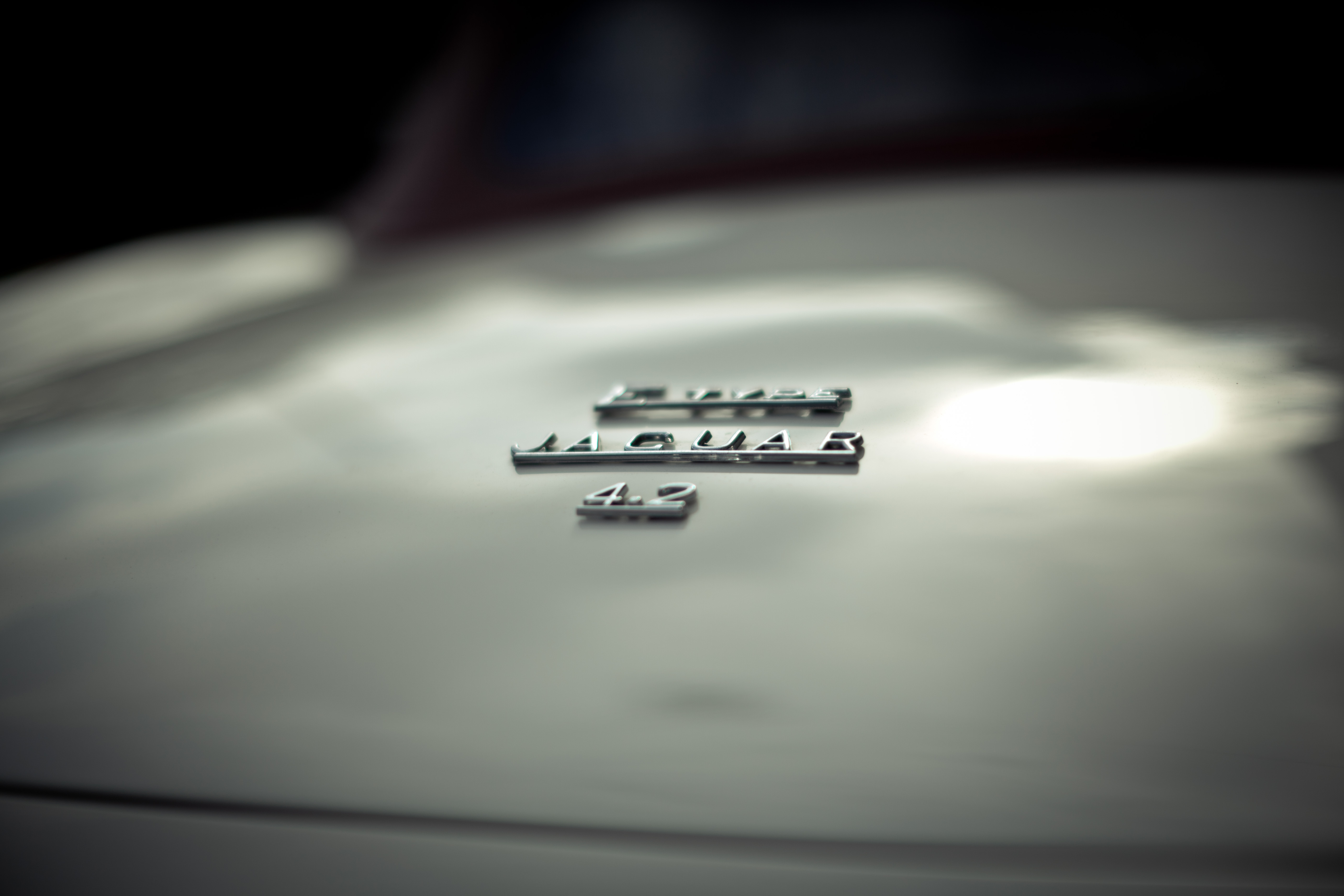 IMG_3261acr6.1.jpg