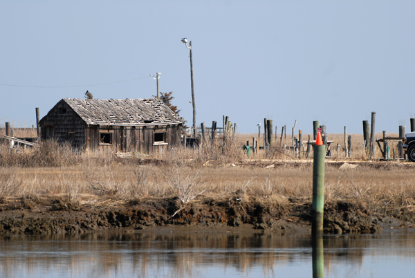 Absecon Creek, Absecon, NJ