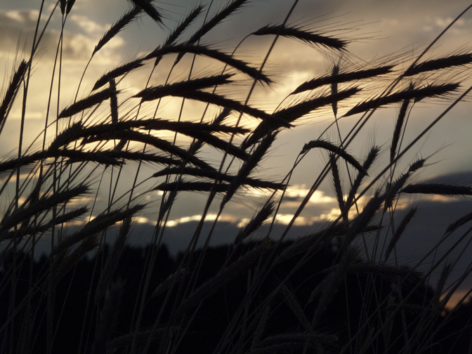 Remembering the Bread of Life