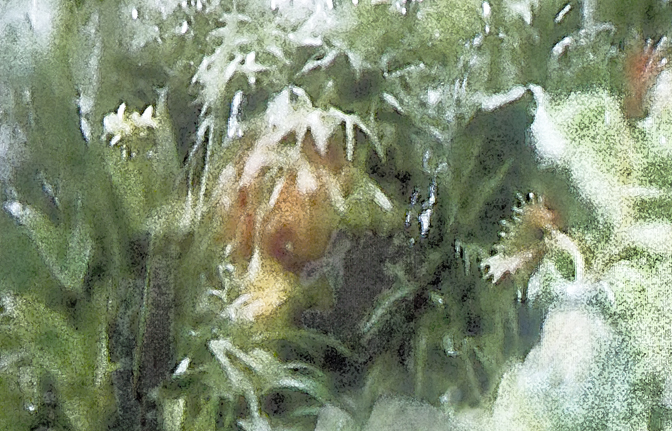 Spring Thaw in an Ice Age Garden