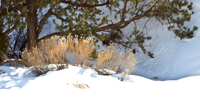 Winter Scene at Arches 1