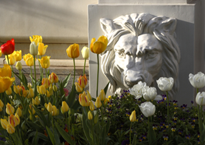 Bloom Where You Are Planted